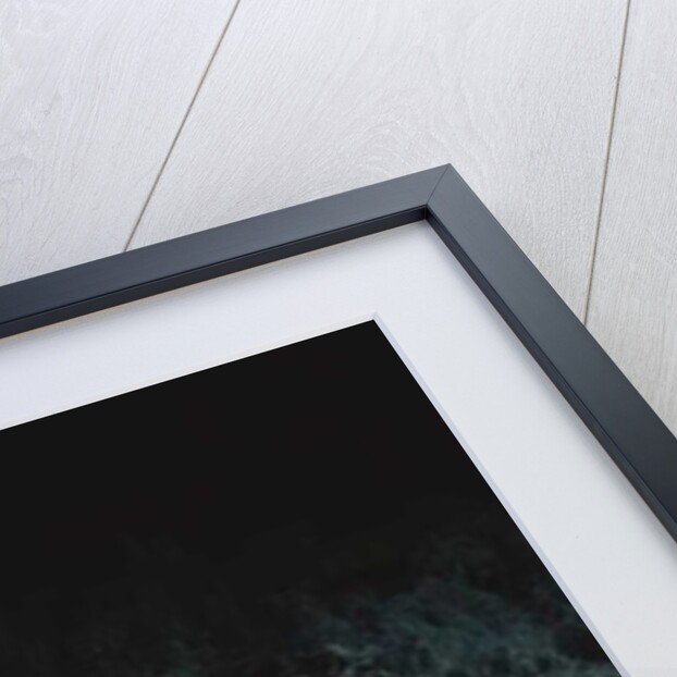 Painting in the Dark, 2011 by Carli Choi