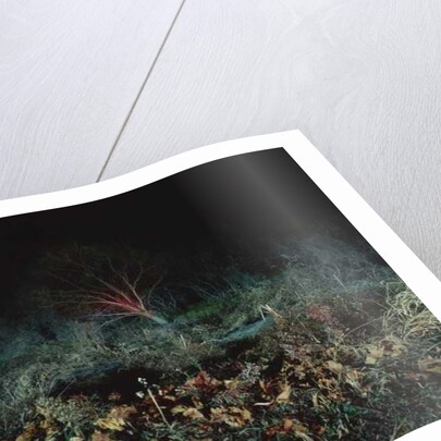 Painting in the Dark, 2011 by Carli Choi