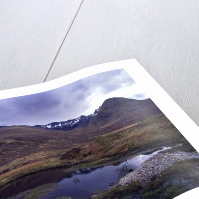 Scotland, 2013 by Carli Choi