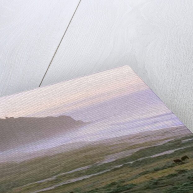 Big Sur, 2014 by Carli Choi