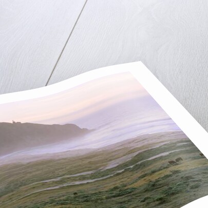 Big Sur, 2014 by Carli Choi