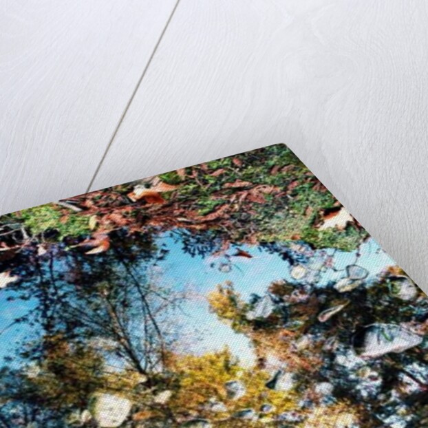 Big Sur, 2013 by Carli Choi