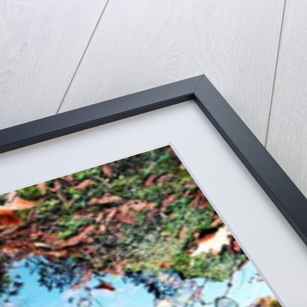 Big Sur, 2013 by Carli Choi