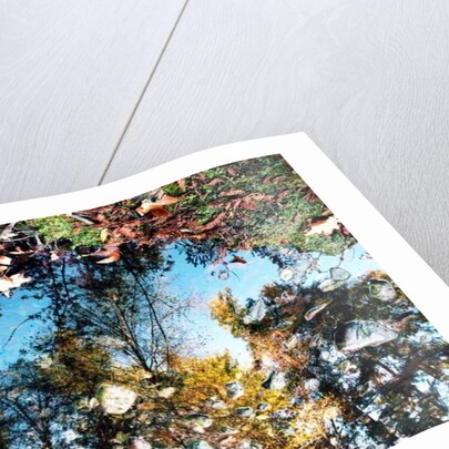 Big Sur, 2013 by Carli Choi