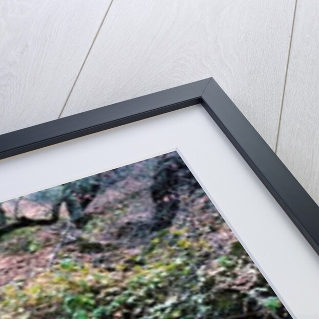 Tree, 2014 by Carli Choi