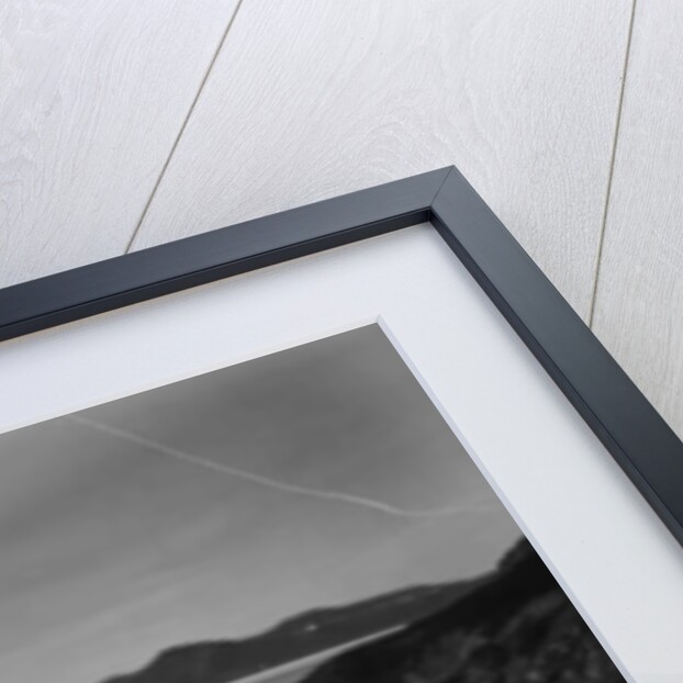 Forever at the Sea, 2012 by Carli Choi