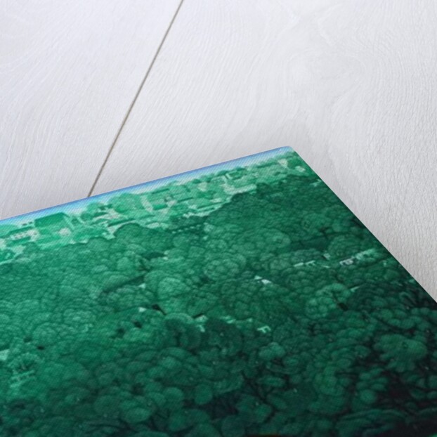 Reverie in the rain, 2009 by Emiko Aida