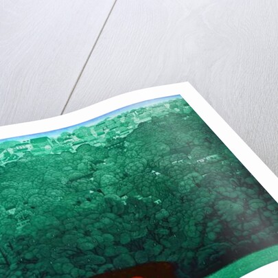 Reverie in the rain, 2009 by Emiko Aida