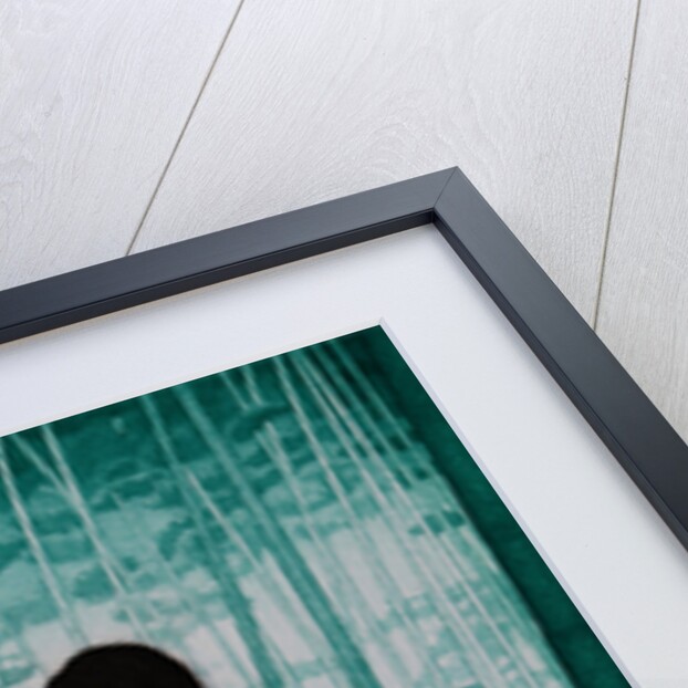 Bamboo lady, 2007 by Emiko Aida