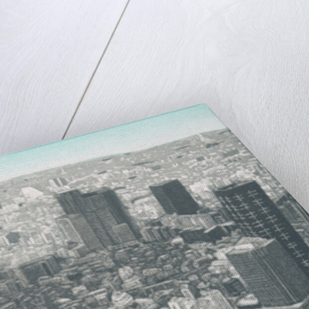 Jakucyu's rooster, 2009 by Emiko Aida