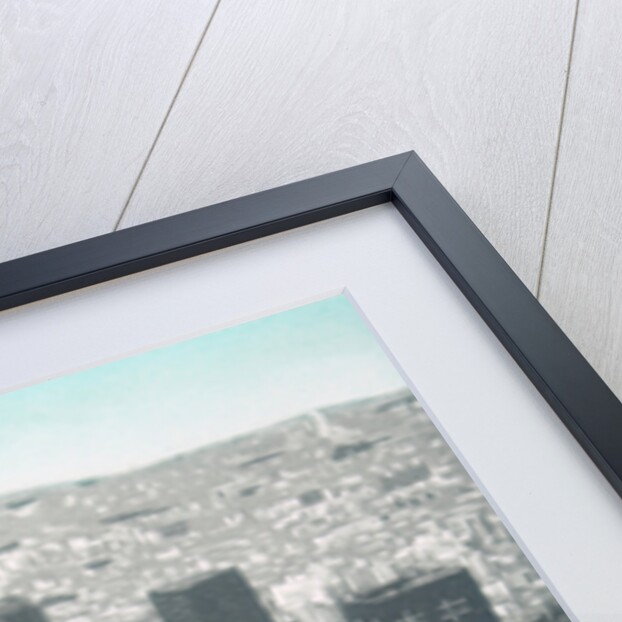 Jakucyu's rooster, 2009 by Emiko Aida