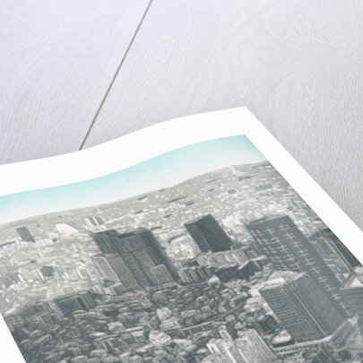 Jakucyu's rooster, 2009 by Emiko Aida