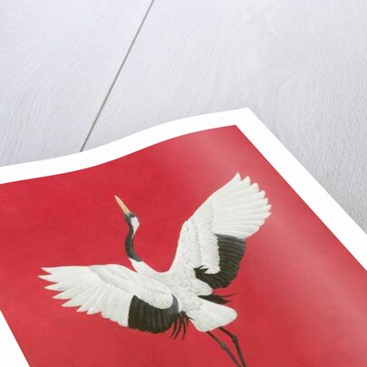 The Dance-Red by Tim Hayward