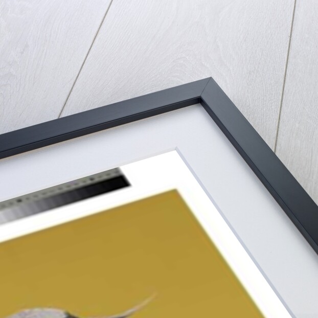 Yellow Stoop by Tim Hayward