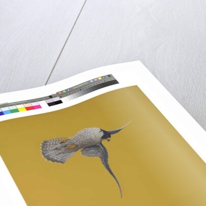 Yellow Stoop by Tim Hayward