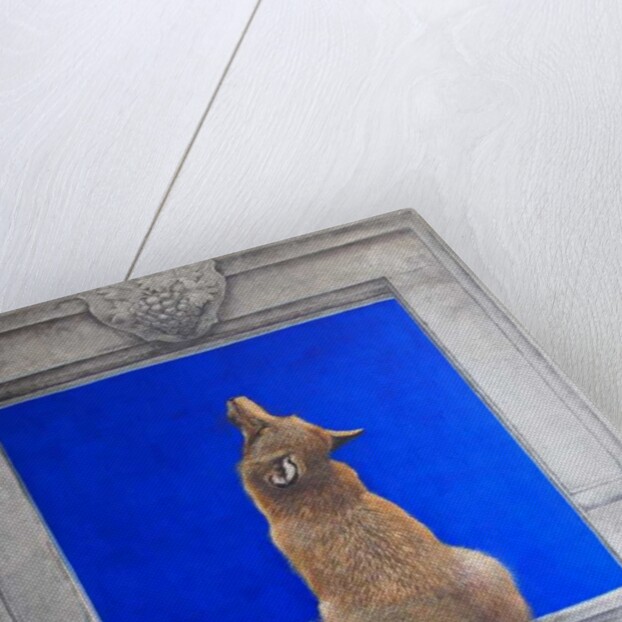 The Fox & Grapes by Tim Hayward