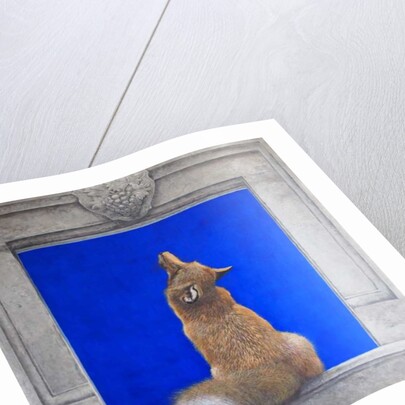 The Fox & Grapes by Tim Hayward