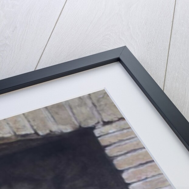 The Lion and the Mouse by Tim Hayward