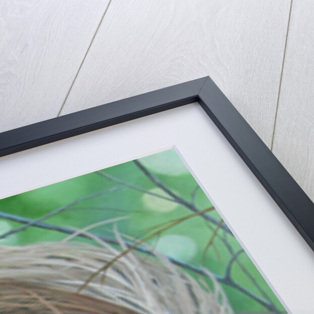 Nest, 2017 by Tina Palmer