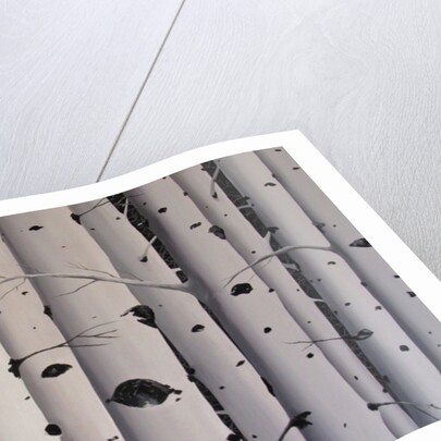 Birch Trees, 2017 by Tina Palmer