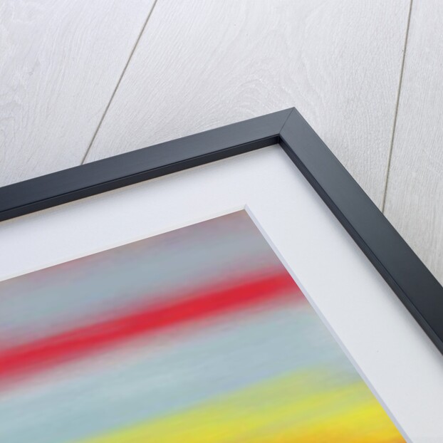 Summer fields, 2015 by Alex Caminker