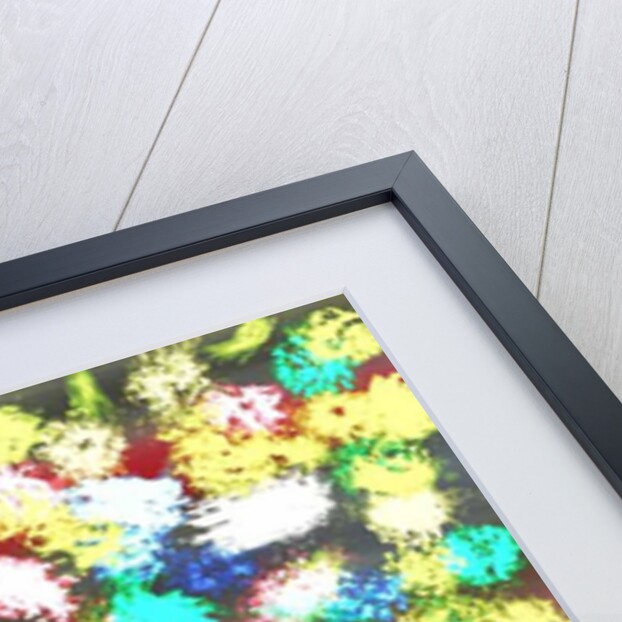 Garden, 2015 by Alex Caminker