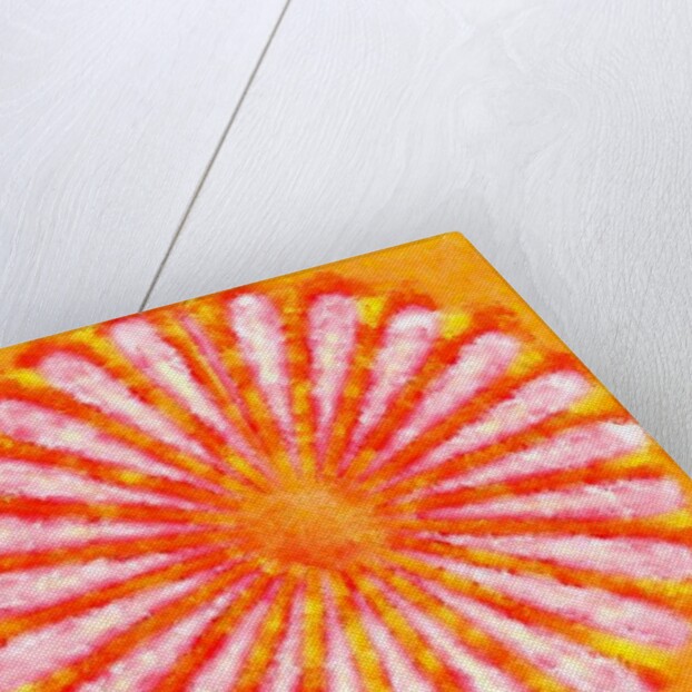 Flower, 2015 by Alex Caminker