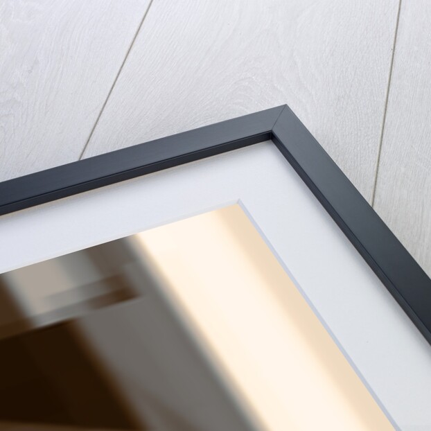 Shadow Play, 2016 by Alex Caminker