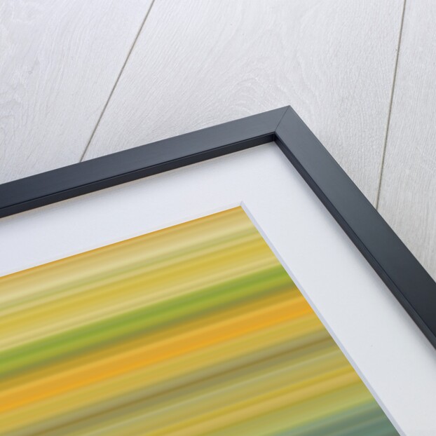 Start in the morning, 2017 by Alex Caminker