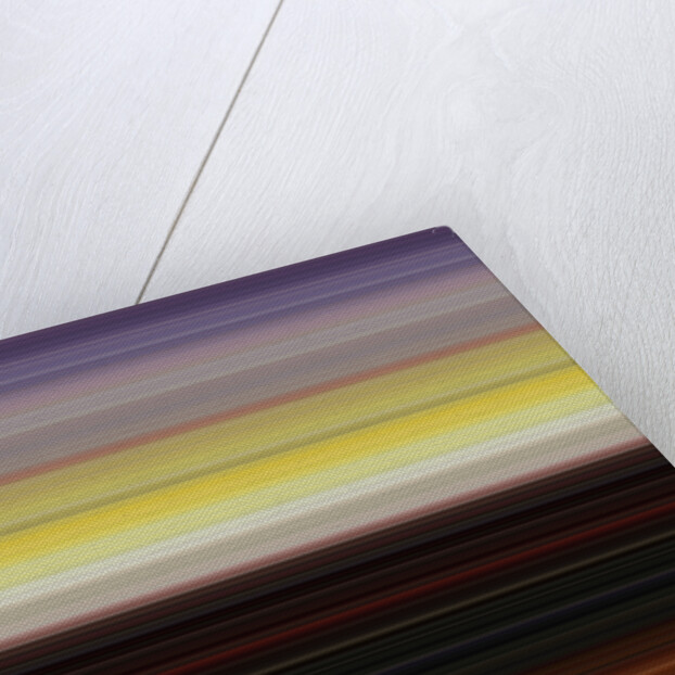 Nature, 2017 by Alex Caminker