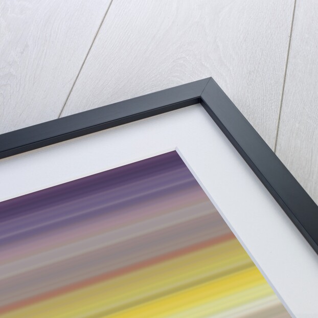 Nature, 2017 by Alex Caminker