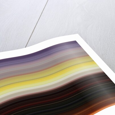 Nature, 2017 by Alex Caminker