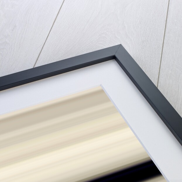 Fret of the instrument, 2017 by Alex Caminker