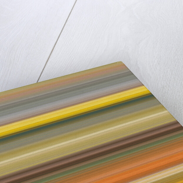 №35, 2017 by Alex Caminker