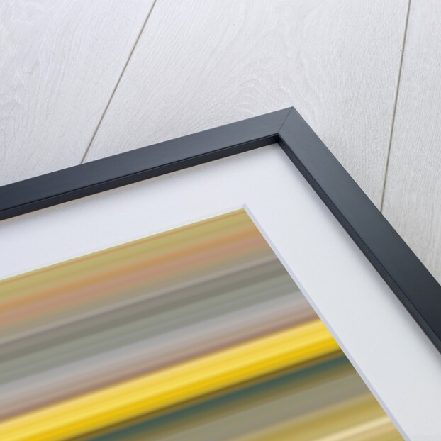 №35, 2017 by Alex Caminker