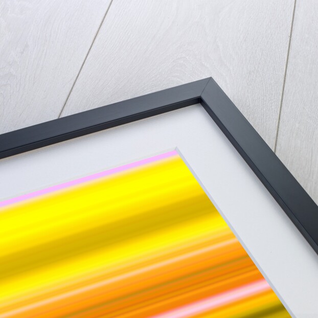 №38, 2017 by Alex Caminker