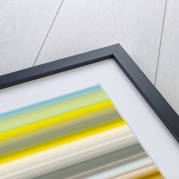 №40, 2017 by Alex Caminker