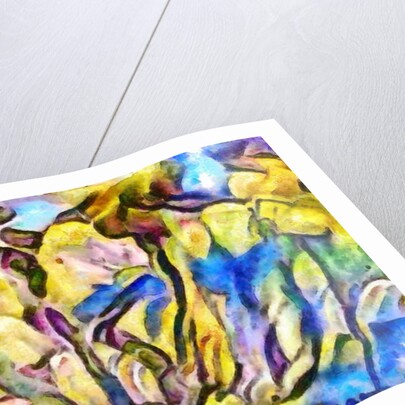 Edge of the forest, 2017 by Alex Caminker