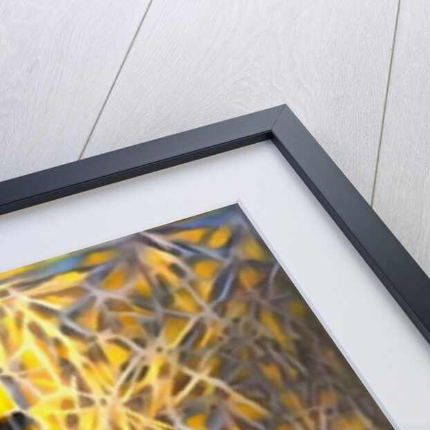 Luminosity #2, 2017 by Alex Caminker