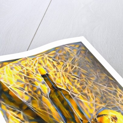 Luminosity #2, 2017 by Alex Caminker