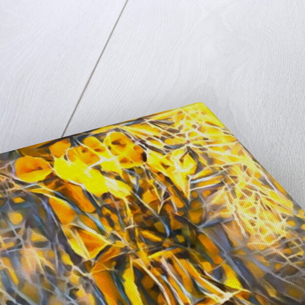 luminosity #4, 2017 by Alex Caminker