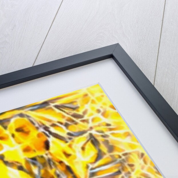 luminosity #4, 2017 by Alex Caminker