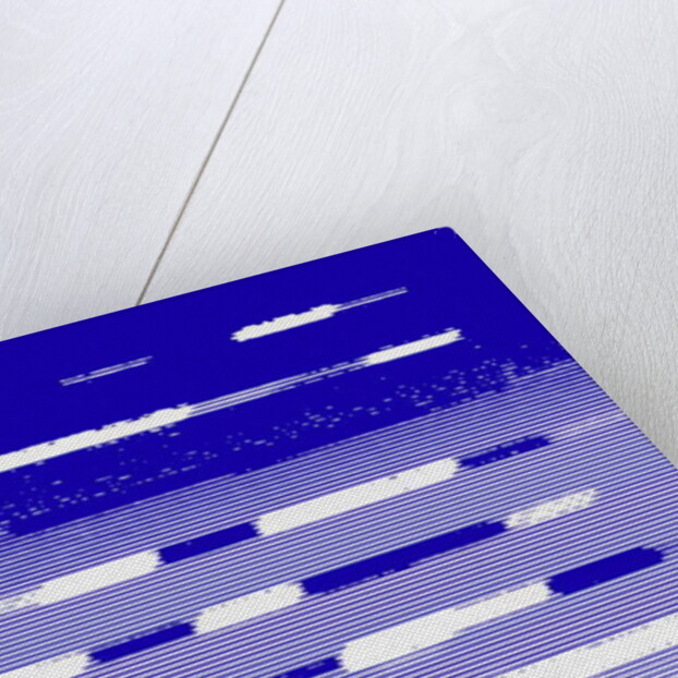 sea strings,2017 by Alex Caminker