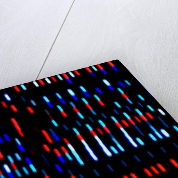 Untitled, 2017 by Alex Caminker