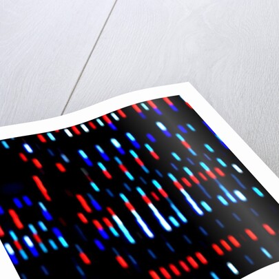 Untitled, 2017 by Alex Caminker