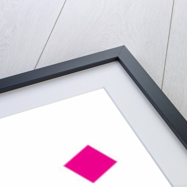 Motion, 2017 by Alex Caminker