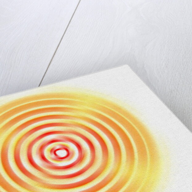 Stability, 2017 by Alex Caminker