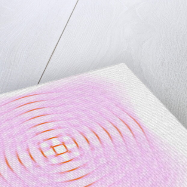 Optical geometric in pink, 2017 by Alex Caminker