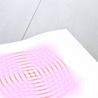 Optical geometric in pink, 2017 by Alex Caminker