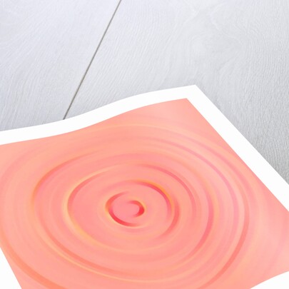 One of the states of water, 2017 by Alex Caminker